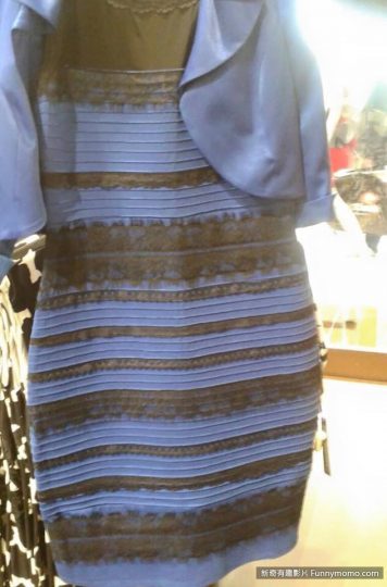 這件洋裝到底是藍黑色還白金色